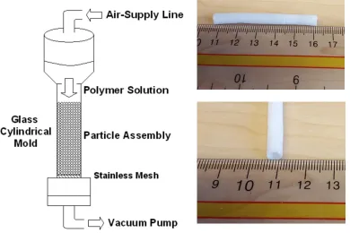 Figure 3.1: Solvent casting and particulate leaching apparatus. The digital images shown are the tubular scaffolds fabricated using the apparatus
