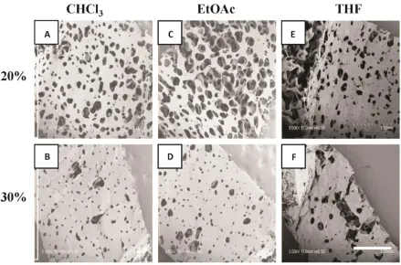 Figure 4.2: Lumenal SEM images of 20-30% w/w PCL scaffolds fabricated using SCPL. PCL dissolved in CHCl3 (A, B), EtOAc (C, D) and THF (E, F)