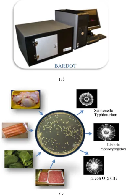 Figure 1. Light scattering sensor based strategy for patho-gen detection. (a) BARDOT device; (b) Food extracts or en- riched samples are surface plated on agar plate to obtain colonies that are analyzed by BARDOT to obtain unique scatter signatures for spe