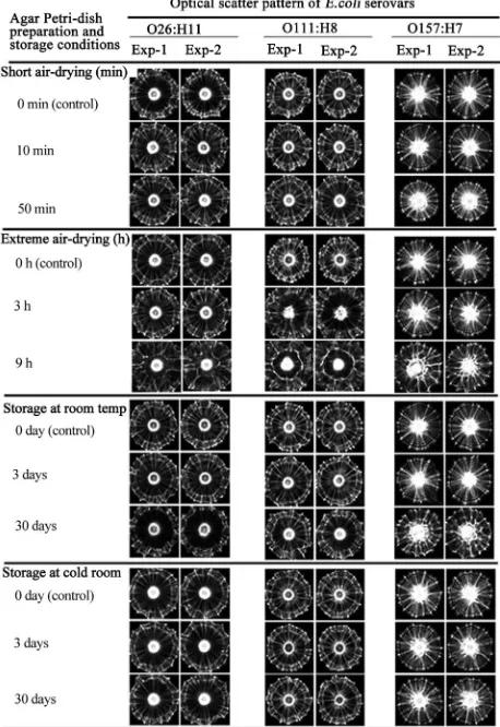 Figure 7. MCF values for scatter patterns of colonies of E. colitemperature (4˚C) for up to 30 days prior to plating