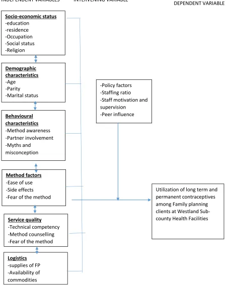 Figure 1. 1: Conceptual framework   (Adopted from literature review)  
