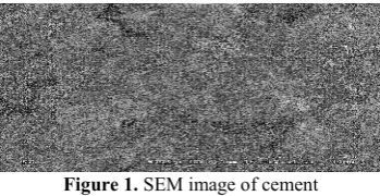 Figure 1. SEM image of cement 