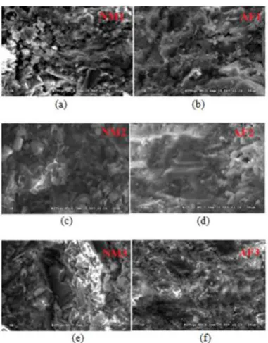Figure 10.  XRD analysis of the concrete at W/B = 0.38
