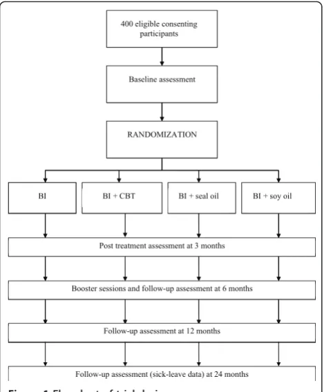 Figure 1 Flowchart of trial design.