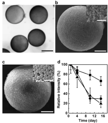 Figure 4. Scanning electron microscopy images of PU 