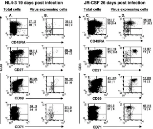 FIG. 2. X4 HIV-1 replicates in immature thymocytes, while R5 HIV-1 replicates in mature thymocytes in HIV-1-infected SCID-hu mice.Thymocytes were obtained from HIV-1-infected implants in SCID-hu mice at 19 days (NL4-3) and 26 days (JR-CSF) postinfection