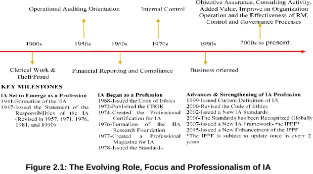 Figure 2.1: The Evolving Role, Focus and Professionalism of IA 