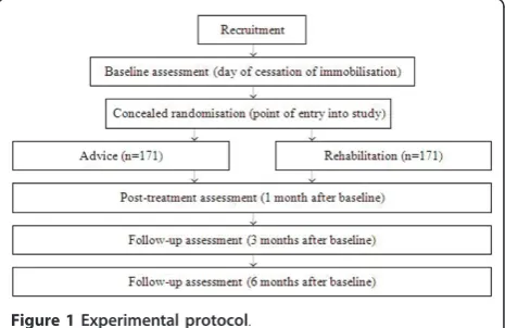 Figure 1 Experimental protocol.