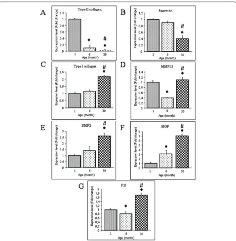 Figure 3 Phenotypic markers in Nucleus pulposus cells. Analysis of the expression levels of transcripts coding for the phenotypic markers (A)type II collagen, (B) Aggrecan, (C) type I collagen, (D) MMP-13, (E) BMP-2, (F) MGP and (G) p21 in Nucleus pulposus