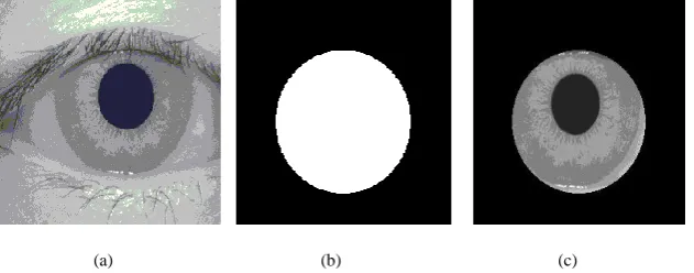 Fig.3.2. Circular Masking (a) Input eye image; (b) Mask image created for corresponding input image; (c) Resultant image
