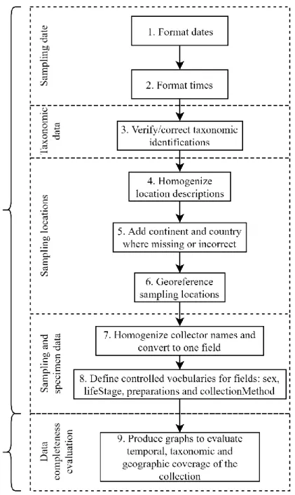 Figure 3.1 Steps employed in data cleaning and visualization for the MNHNC insect collection catalogue