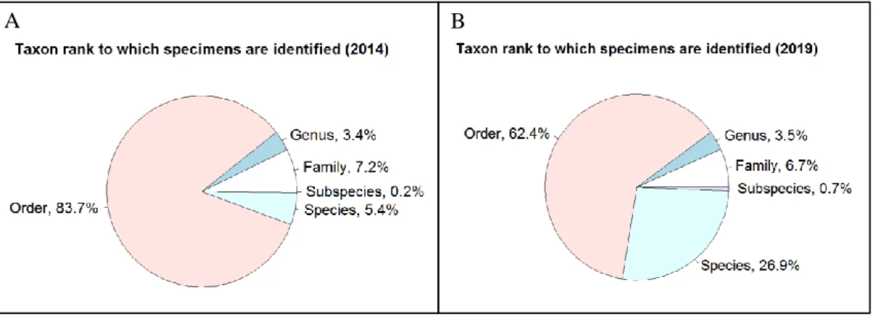 Figure  3.5  illustrates  the  taxonomic  coverage  of  the  insect  collection,  represented  as  the  number  of  specimens  contained  in  the  collection  for  the  most  well  represented  Orders  (over  100  specimens)