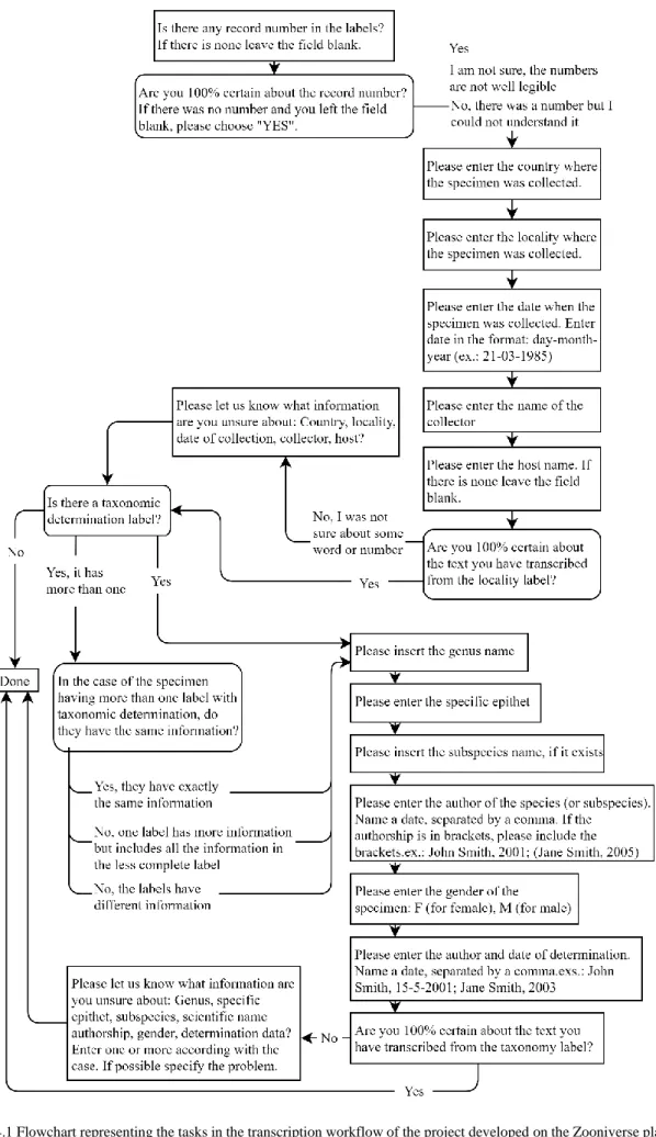 Figure 4.1 Flowchart representing the tasks in the transcription workflow of the project developed on the Zooniverse platform