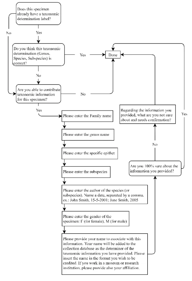 Figure 4.2 Flowchart representing the tasks in the taxonomic identification workflow of the project developed on the Zooniverse  platform