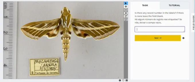 Figure 4.3 Image of the first task that volunteers were asked to complete in the transcription workflow of the project developed  on the Zooniverse platform