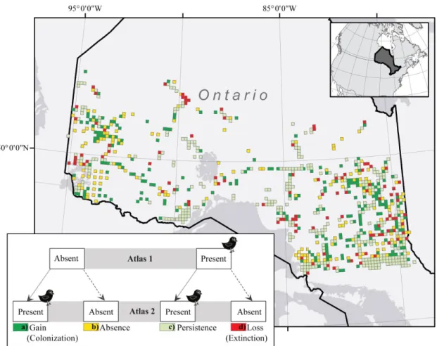 Figure 3. 1 The colonization and extinction patterns of White-throated Sparrow. Changes  in the occurrence patterns of the species in a grid were assigned by comparing the species  observation records during two atlas periods (see 3.2)
