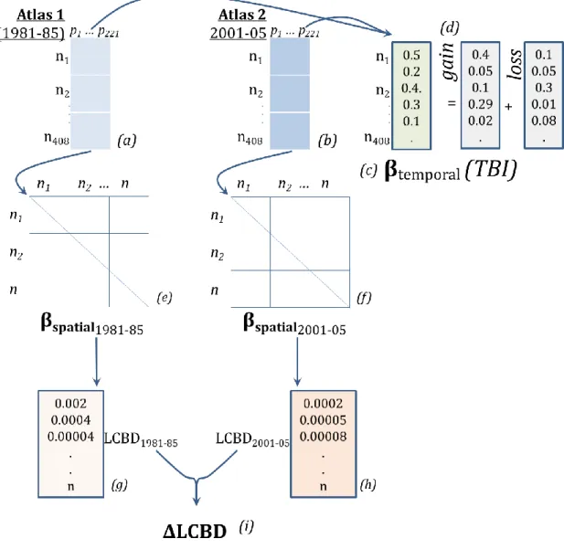 Figure 4. 1 Computational steps assessing changes in community composition in space  and time