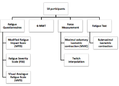 Figure 2.1. Schematic representation of the study protocol  