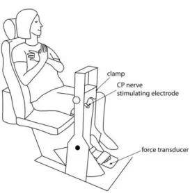 Figure 2.2. Schematic representation of the experimental setup (with permission from Alexandra Lynette-Krech, (2017))   