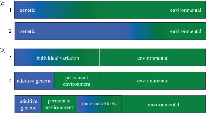 Figure 1. Hypothetical proportion of telomere length variation among individuals explained by genetic (blue) and environmental (green) effects: (where individuals experience: (1) highly variable environments versus (2) relatively constant environments; and (complexity, based on repeated measures of telomere length per individual: model (3) a mixed model to separate individual variation from environmental (residual)variation, model (4) an ‘animal’ model where individual variation is separated into additive genetic and permanent environmental effects, and model (5) wherea) in a populationb) estimated using mixed models of increasingmaternal identity is included to estimate maternal effects.
