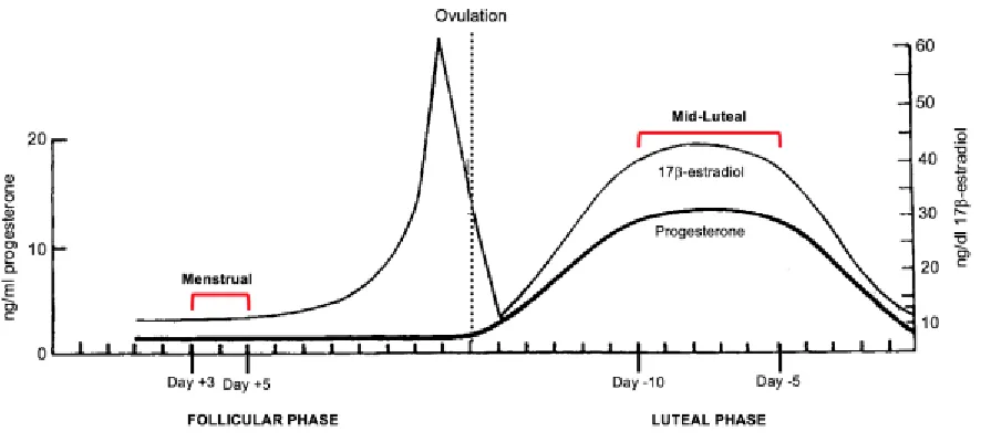 Figure 2.1.   Pattern of changes in serum 17β-estradiol and progesterone that occur over a typical 