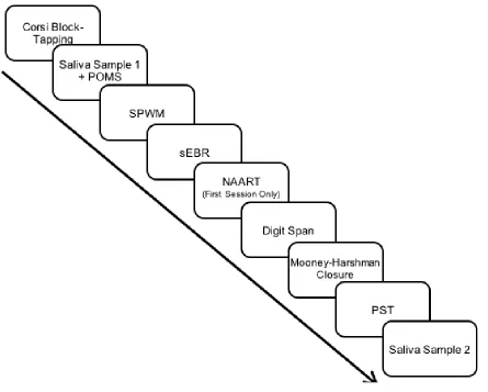 Figure 2.2.   Order of test administration for both test sessions. 
