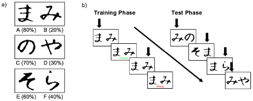 Figure 2.4. (a) One of the two stimulus sets used in the Probabilistic Selection Task 
