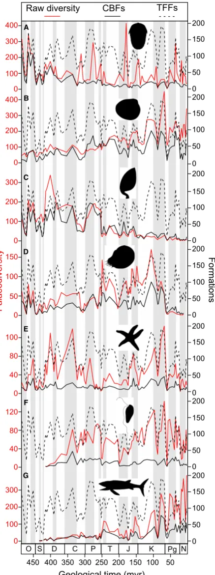 FIG. 1. Marine palaeodiversity (generic richness), total fossilif-erous formation counts (TFFs) and clade-bearing formationcounts (CBFs) from the Ordovician to the Neogene as down-loaded from the PBDB (Clapham et al