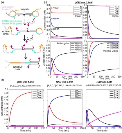 Figure 4.�(����� Dumb-bell logic gates—activation and deactivation. (a) Operating mechanism of the gates.Binding of species A activates the gate by revealing its identity and lock domains
