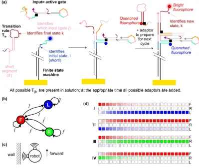 Figure 5.A possible ﬂuorescence readout scheme is shown; (implementation of the system, based on the design of Costa Santini et al