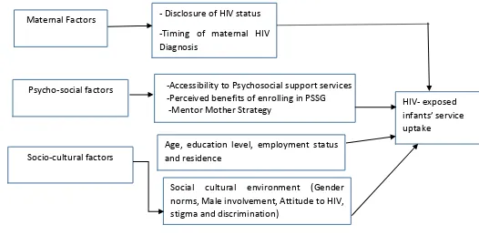 Figure 1.1: Conceptual Framework 