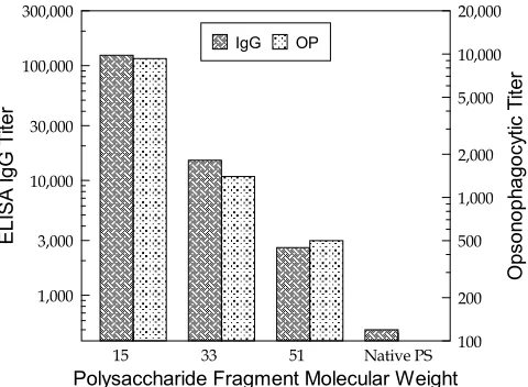 FIG. 3. Effect of oligosaccharide size on immunogenicity of GBS typeIIOS-TT conjugates in mice