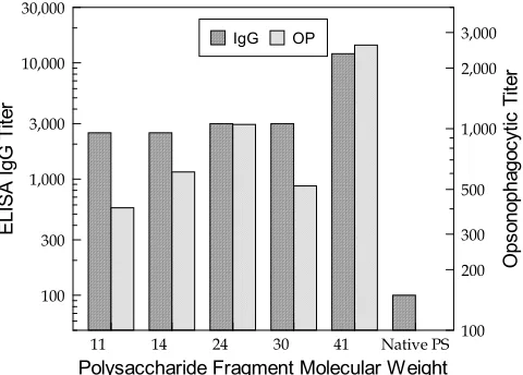 FIG. 4. Effect of oligosaccharide size on immunogenicity of GBS typeIIIOS-TT conjugates in mice