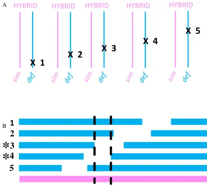 Figure 1.3. Principle of deficiency mapping. (A) A population is generated where 