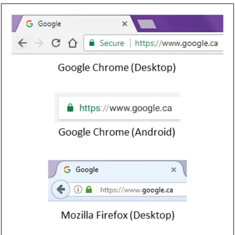 Figure 1.1: The Green Padlock Icon. Examples of the green padlock for Google Chrome andMozilla Firefox.