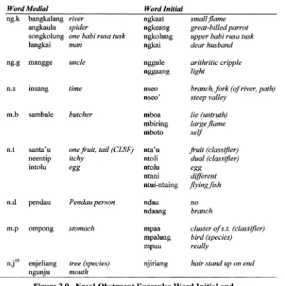 Figure 2.9. Nasal-Obstruent Examples Word Initial and Word Medial in Pendau 