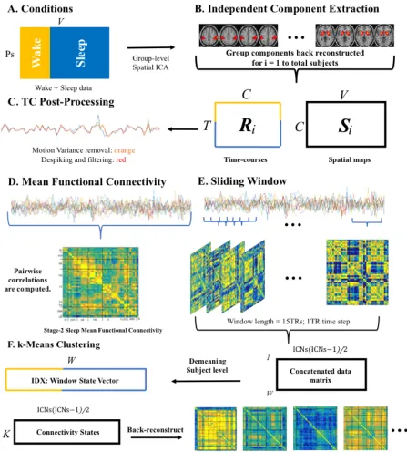 Figure 1. Step-by-step analysis steps are depicted in this figure. A, Subjects wake and sleep 