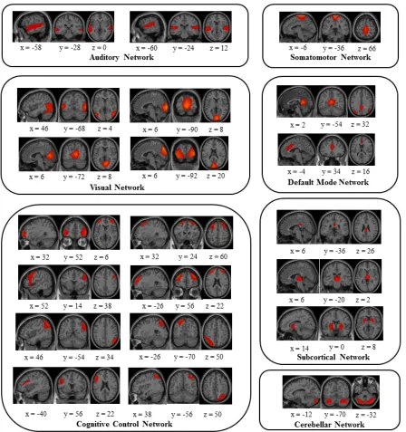 Figure 2. 42 neurophysiologically plausible independent components (ICs) were divided into groups and arranged based on their spatial and functional properties