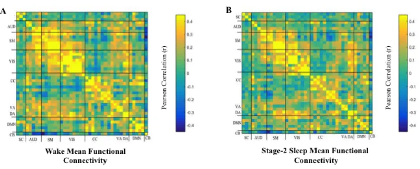 Figure 3. Mean functional connectivity in WAKE (A), and STAGE-2 Sleep (B). Each 