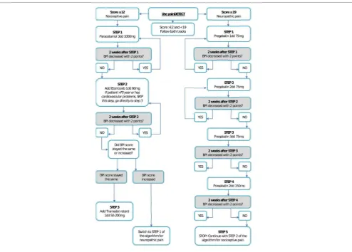 FigUrE 1 | Pain medication algorithm for nociceptive pain (left track), neuropathic pain (right track), and mixed pain (both tracks).