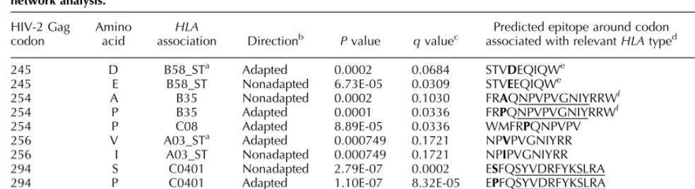 Table 1. Potential sites of HLA-mediated selection pressure and codon evolution in HIV-2 p26 as predicted by a phylogenetic dependencynetwork analysis.