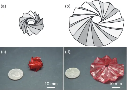 Fig. 2.The deployable origami structure. (a),(c) Folded “pill” state, (b),(d)deployed state.