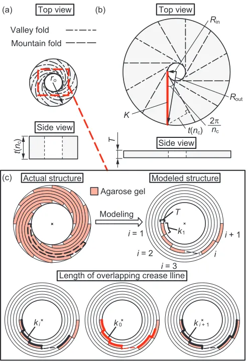 Fig. 4.Geometric analysis of the origami structure. (a) Area and thicknessof the structure in its folded state over the number of creases