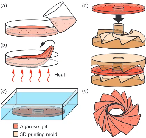 Fig. 5.Fabrication process of the origami structure. (a) Pour liquid agarosere-hydrate and soften