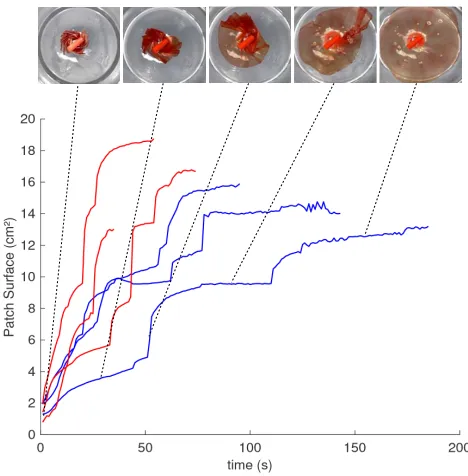 Fig. 8.Origami structure diameter against time during deployment.Temperature has a signiﬁcant effect on the time taken for the structureto deploy