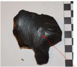 Figure 4: Example ventral side with bulb of percussion Mata‘a 17-01-1329  On the traced images, the wear on each side was noted