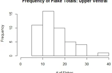 Figure 12: Upper Ventral Flake Totals Histogram 