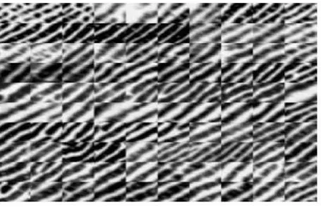 Fig 4.3 Different Patches 