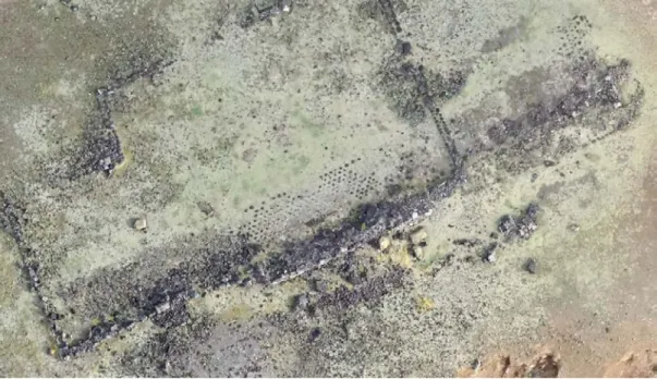 Figure 5. Image ahu 