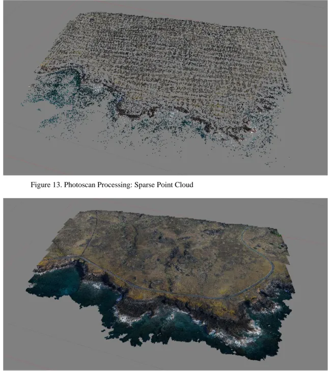 Figure 14. Photoscan Processing: Dense Point Cloud 